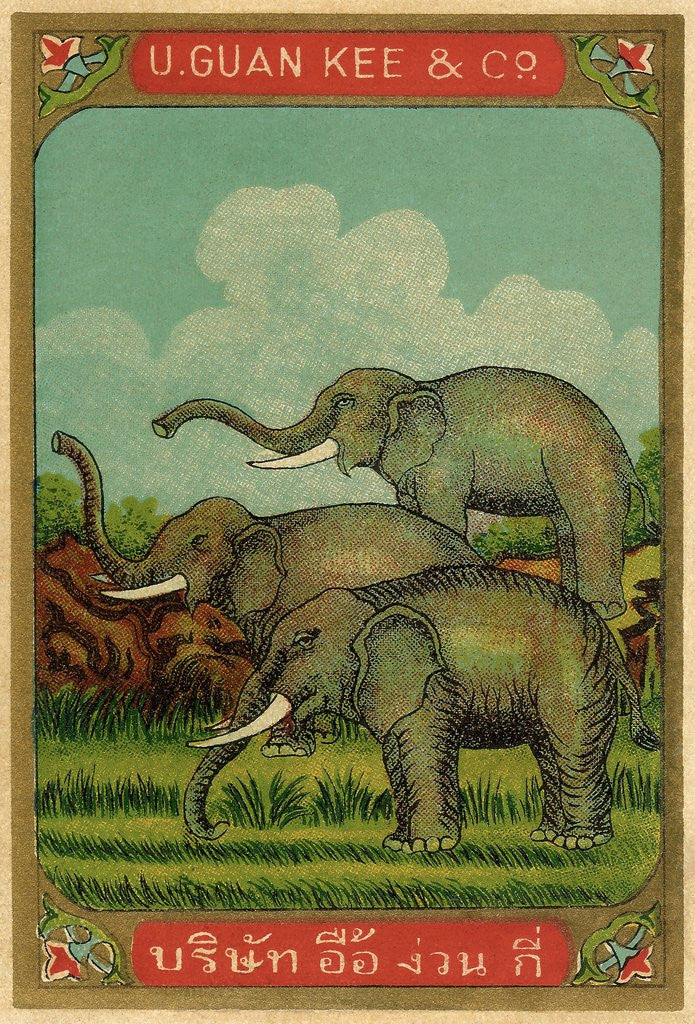Detail of Thai cotton label with elephants by Anonymous