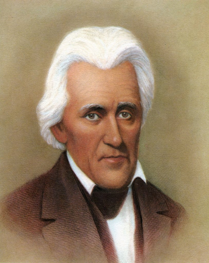 Detail of Andrew Jackson by Anonymous