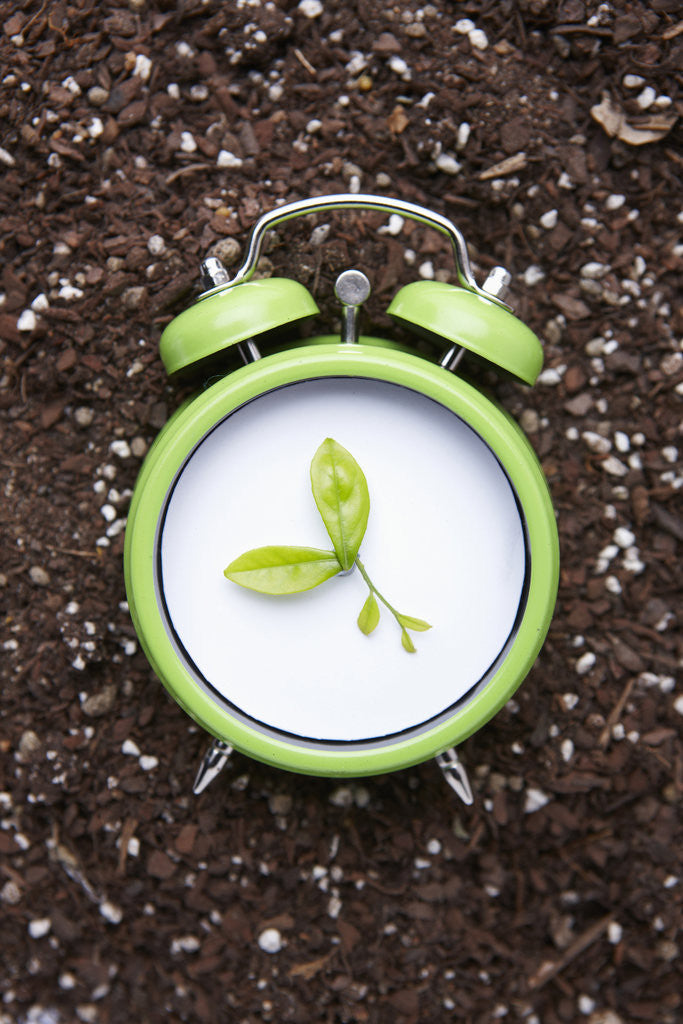 Detail of Eco friendly green concepts by Anonymous