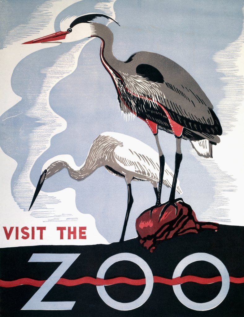 Detail of Visit the Zoo poster with two herons by Anonymous
