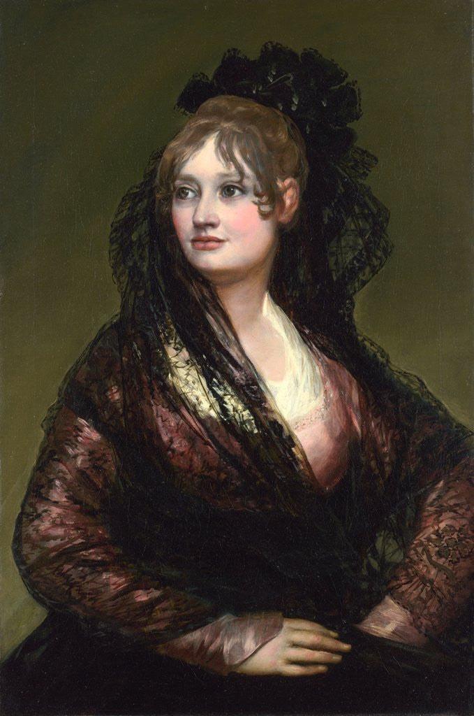 Detail of Dona Isabel de Porcel by Francisco de Goya