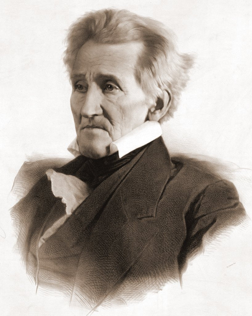 Detail of Portrait of Andrew Jackson by Anonymous