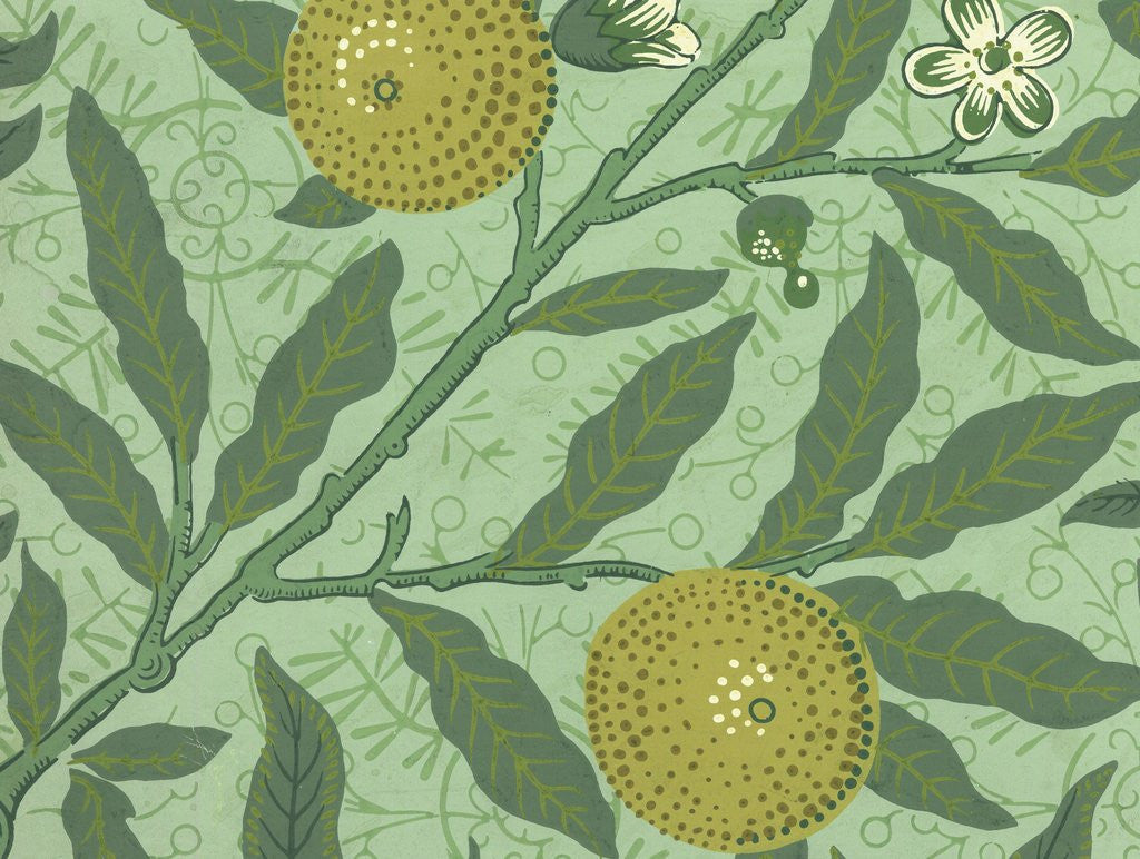 Detail of William Morris wallpaper sample with lemons and branches by Anonymous