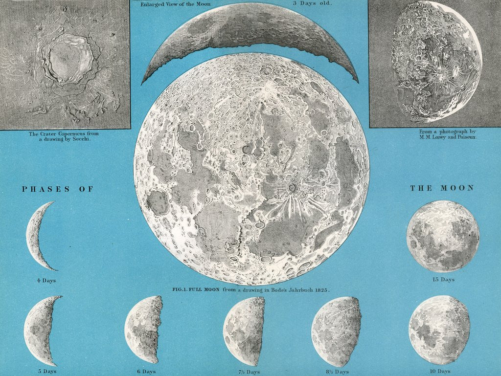 Detail of Illustration of the full moon and phases of the moon by Anonymous
