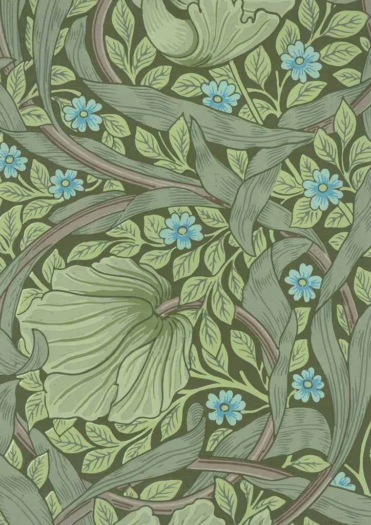 Detail of William Morris wallpaper sample with Forget-Me-Nots by Anonymous