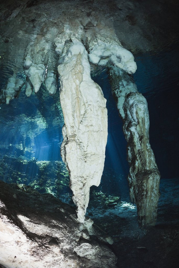 Detail of Stalactites in Gran Cenote, Tulum, Yucatan Peninsula, Mexico by Anonymous