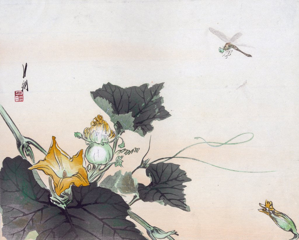 Detail of Dragonfly and a Pumpkin Blossom by Ogata Gekko