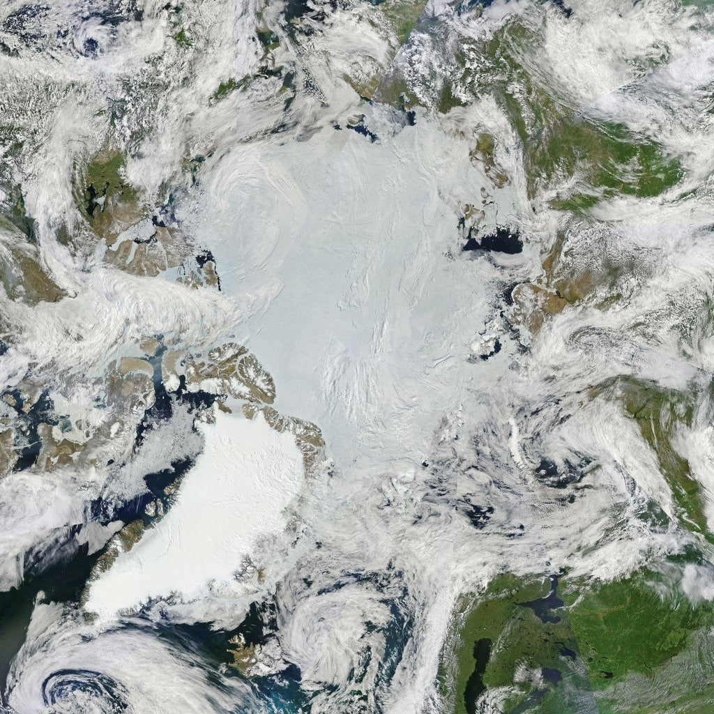 Detail of The North Pole and Arctic Ocean, in June of 2011 by Anonymous
