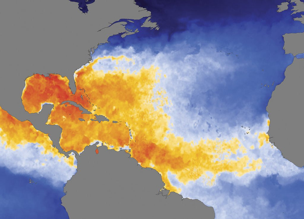 Detail of Sea Surface Temperature of the Tropical Atlantic Ocean, Caribbean Sea and Gulf of Mexico by Anonymous