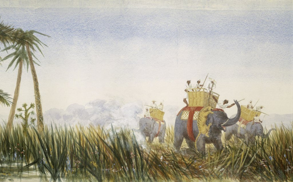 Detail of Tiger attacking an elephant by Anonymous