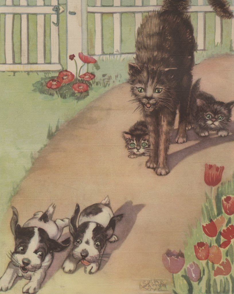 Detail of Mama cat chasing puppies away from her kittens by Corbis