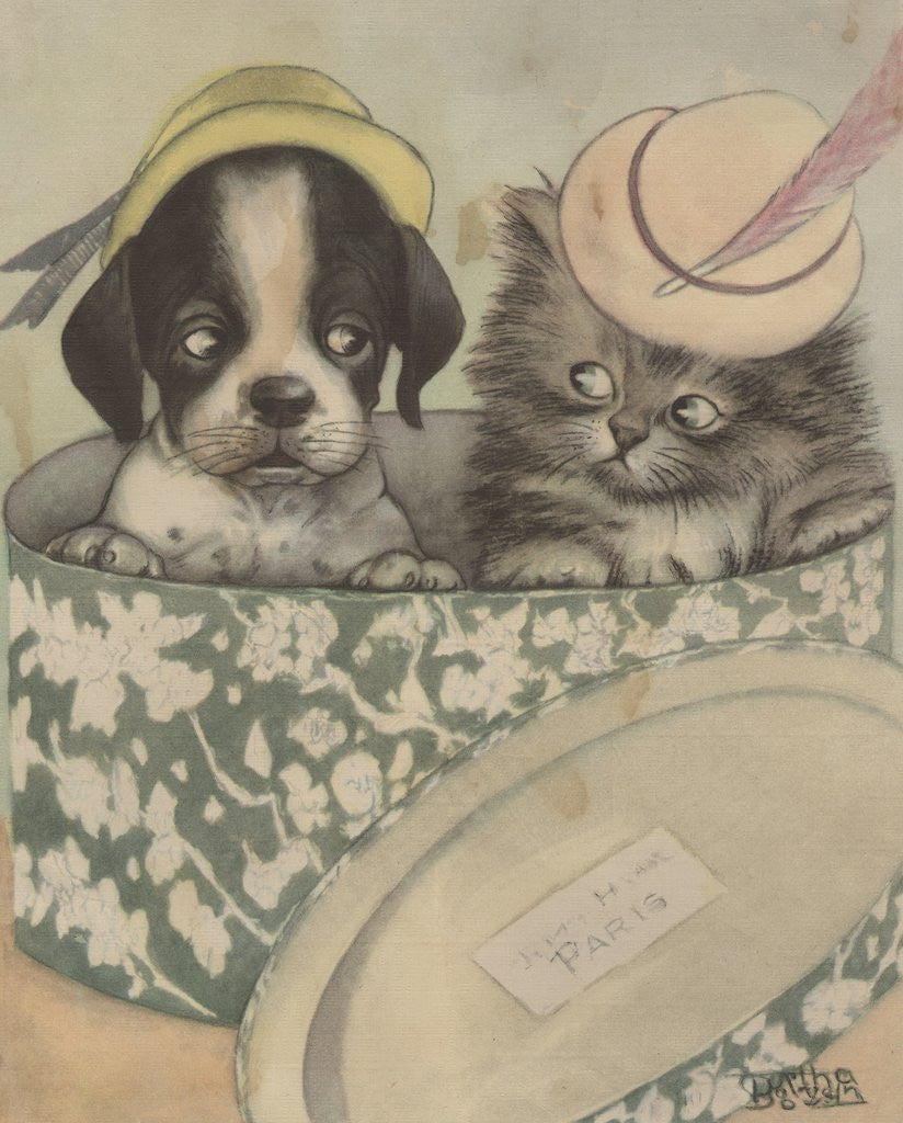 Detail of Puppy and kitten in hat box wearing hat by Anonymous