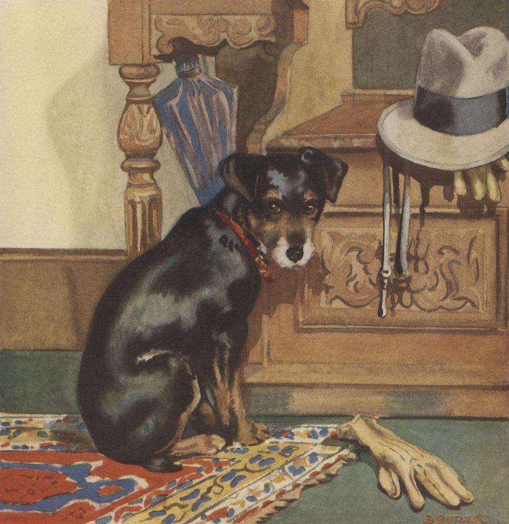 Detail of Dog waiting to go for walk by Anonymous