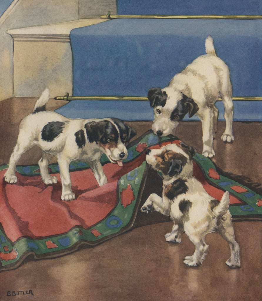 Detail of Dogs playing with rug by Anonymous