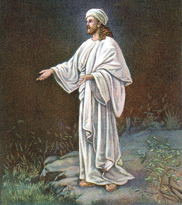 Jesus Christ in white robes posters & prints by Anonymous