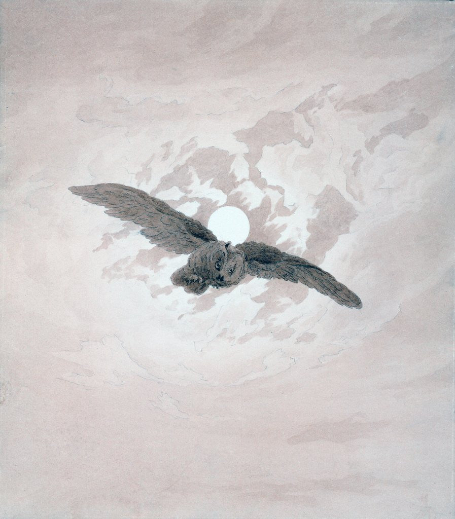 Detail of Owl Flying against a Moonlit Sky by Caspar David Friedrich