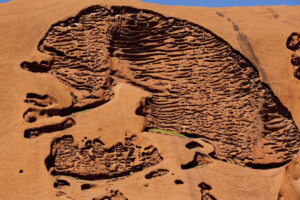 Detail of Ayers Rock, Uluru-Kata Tjuta National Park, Australia by Anonymous