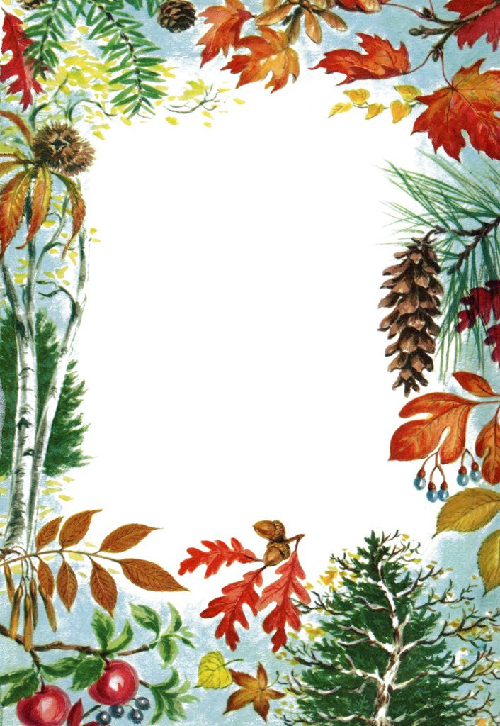 Detail of Border illustration with fall color by Anonymous