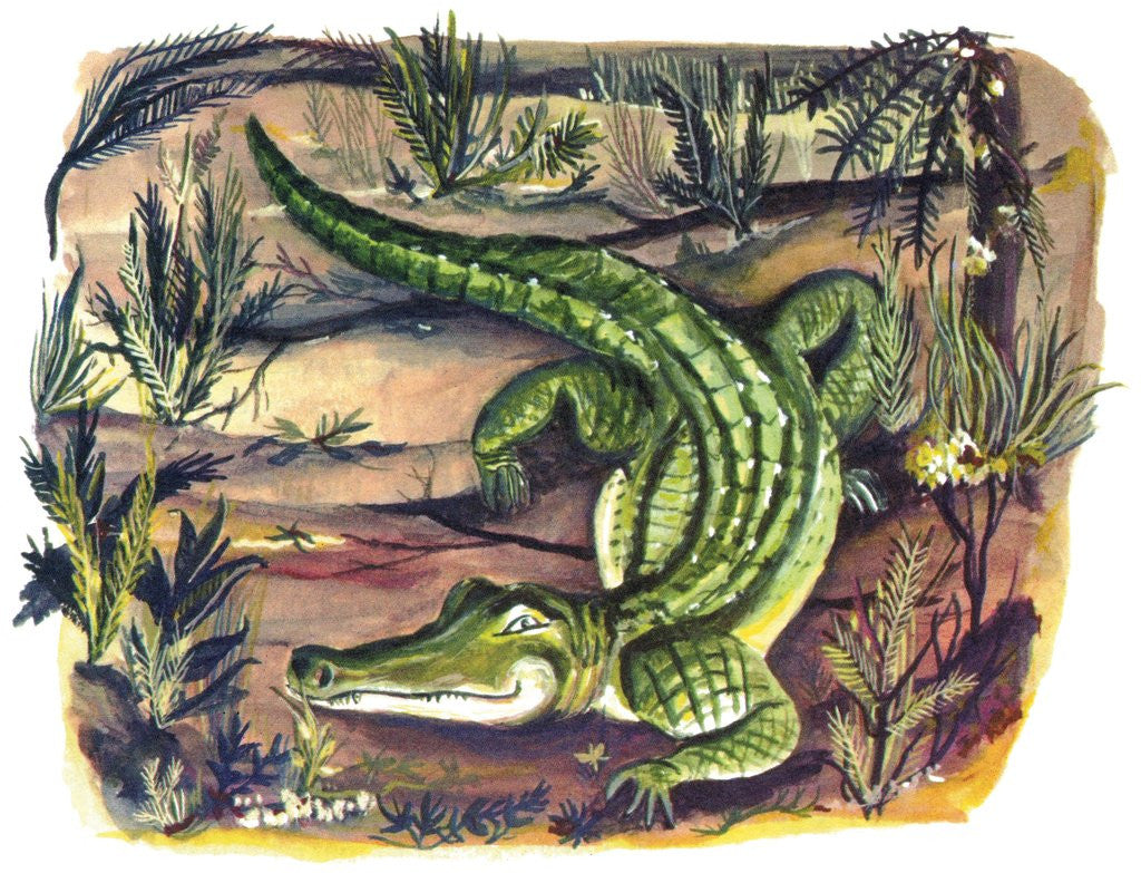 Detail of Crocodile in its natural habitat by Anonymous