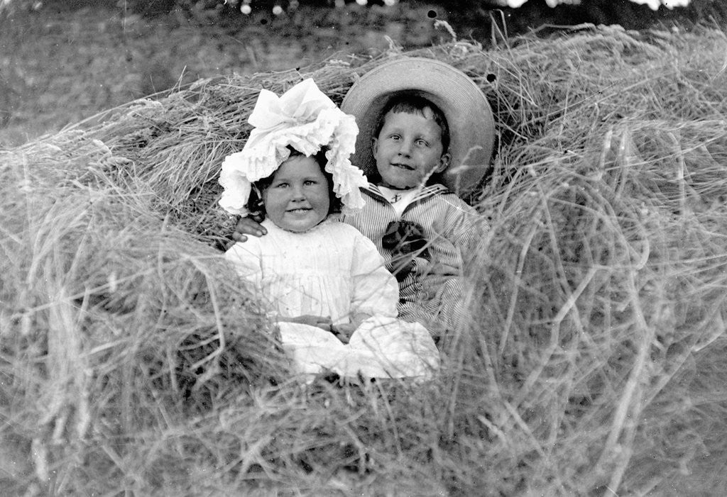 Detail of A young brother and sister nestled in the hay, ca. 1900. by Corbis