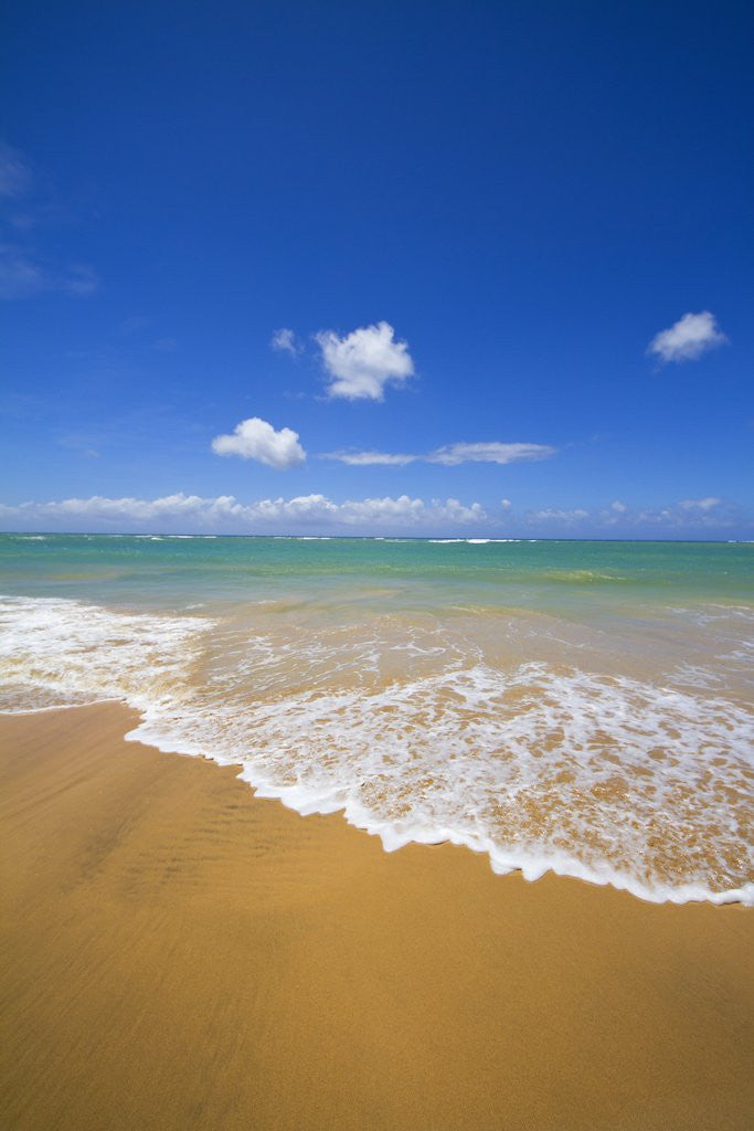 Detail of Gentle waves breaking on the north shore of Maui by Anonymous