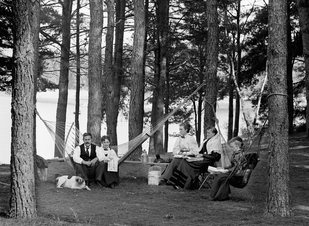 Detail of The family has picnic among the pines, ca. 1900. by Anonymous