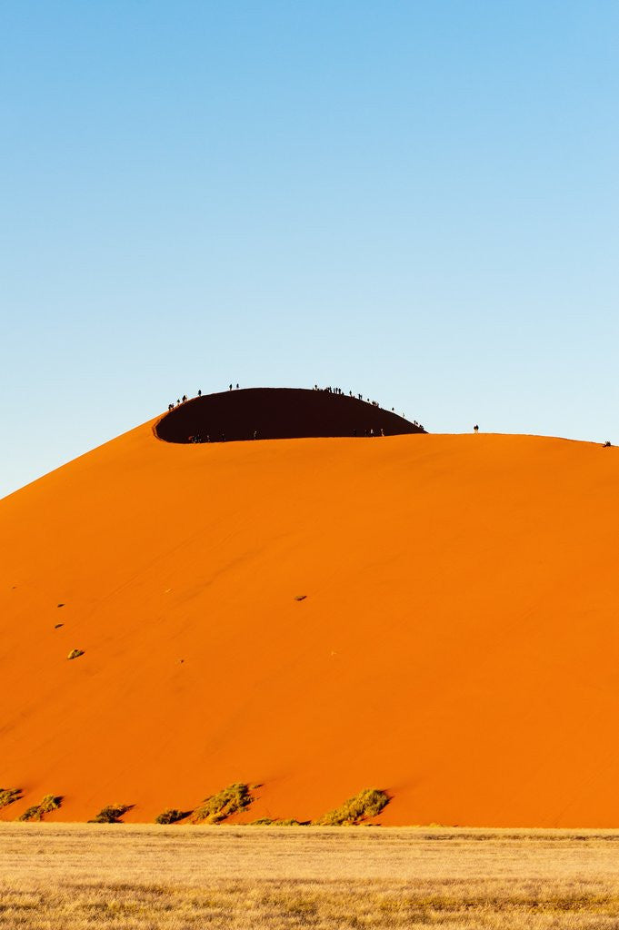 Detail of Dune 45, Sossusvlei, Namibia. by Anonymous
