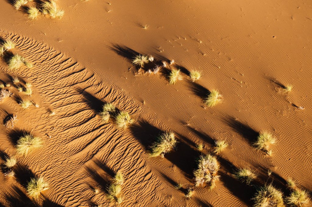 Detail of Aerial view, Namib Desert, Namibia. by Anonymous
