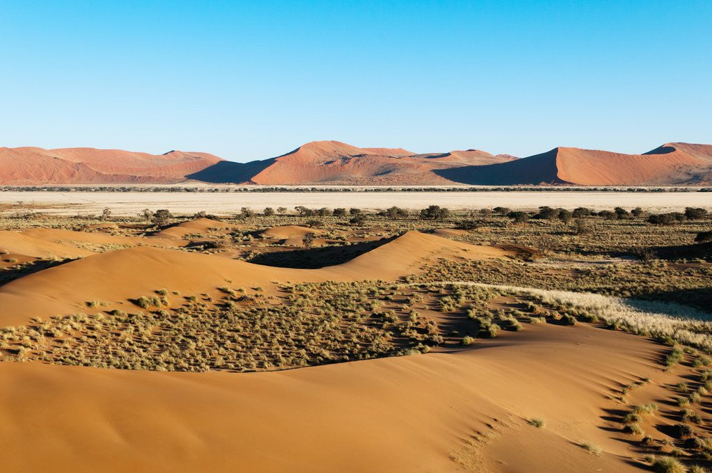 Detail of Aerial view, Namib Desert, Namibia. by Anonymous