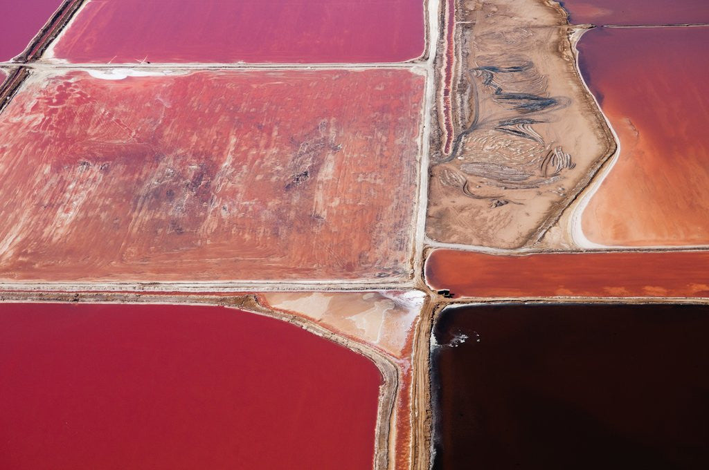 Detail of Aerial view of Salt Evaporation Ponds, Walvis Bay, Skeleton Coast by Anonymous