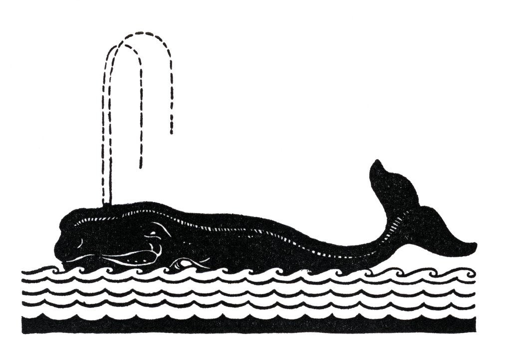 Detail of Whale spouting by Anonymous