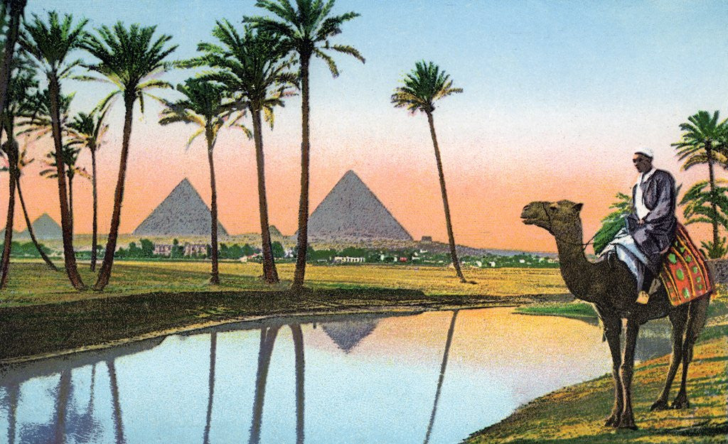 Detail of Man on a camel viewing the Pyramids of Giza by Anonymous