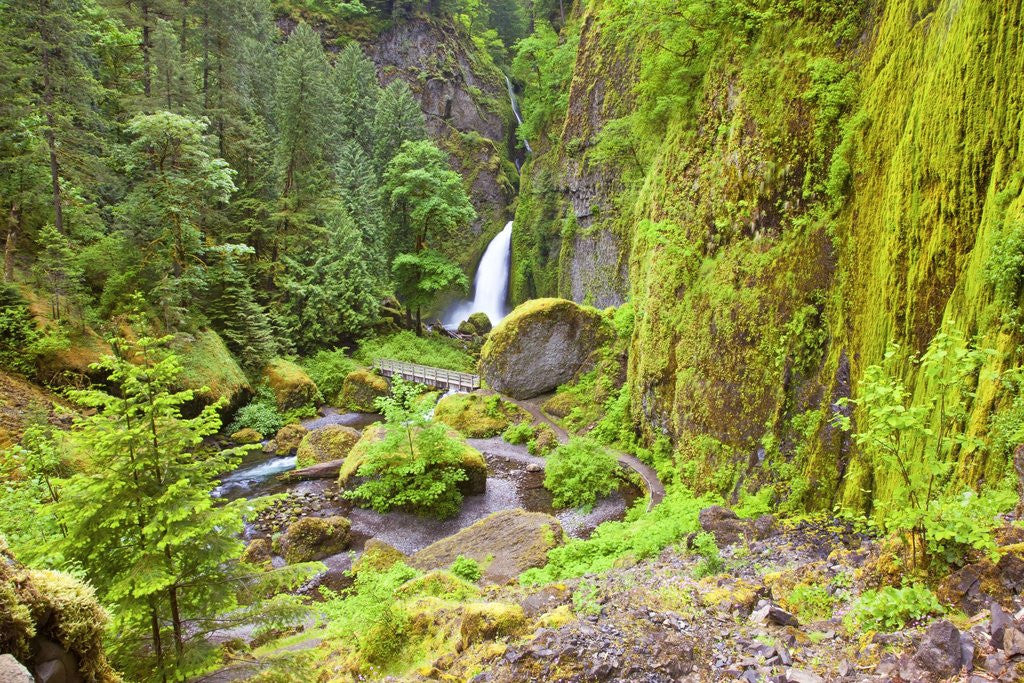 Detail of Tanner Creek Falls, Columbia River Gorge National Scenic Ates, Oregon by Corbis