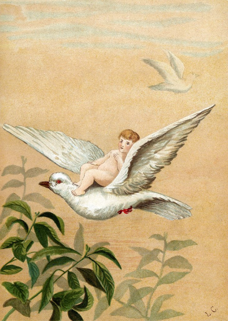 Detail of Fairy riding a white dove by Anonymous