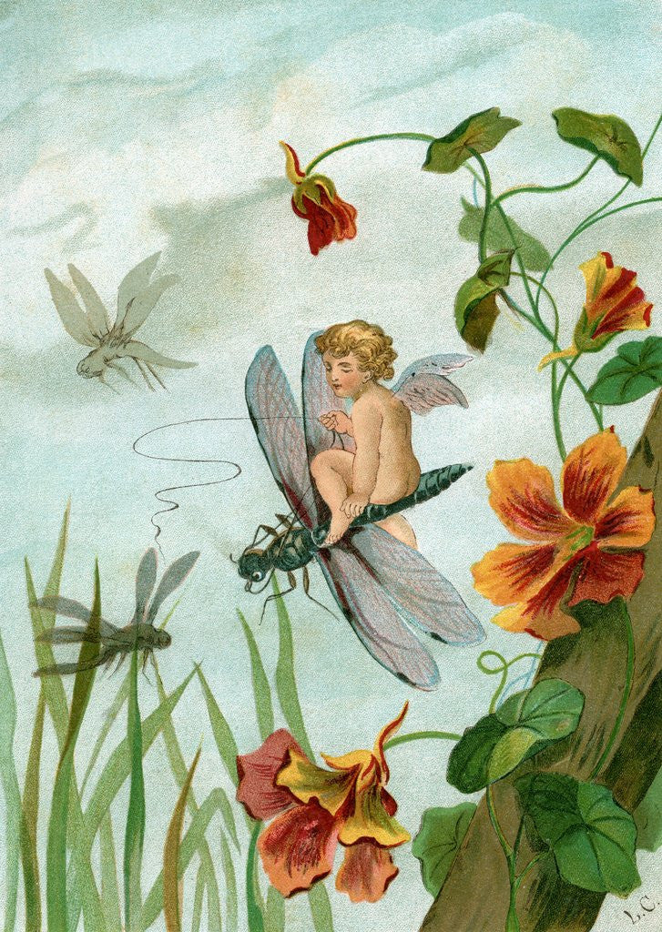 Detail of Winged fairy riding a dragonfly near nasturtium blooms by Anonymous