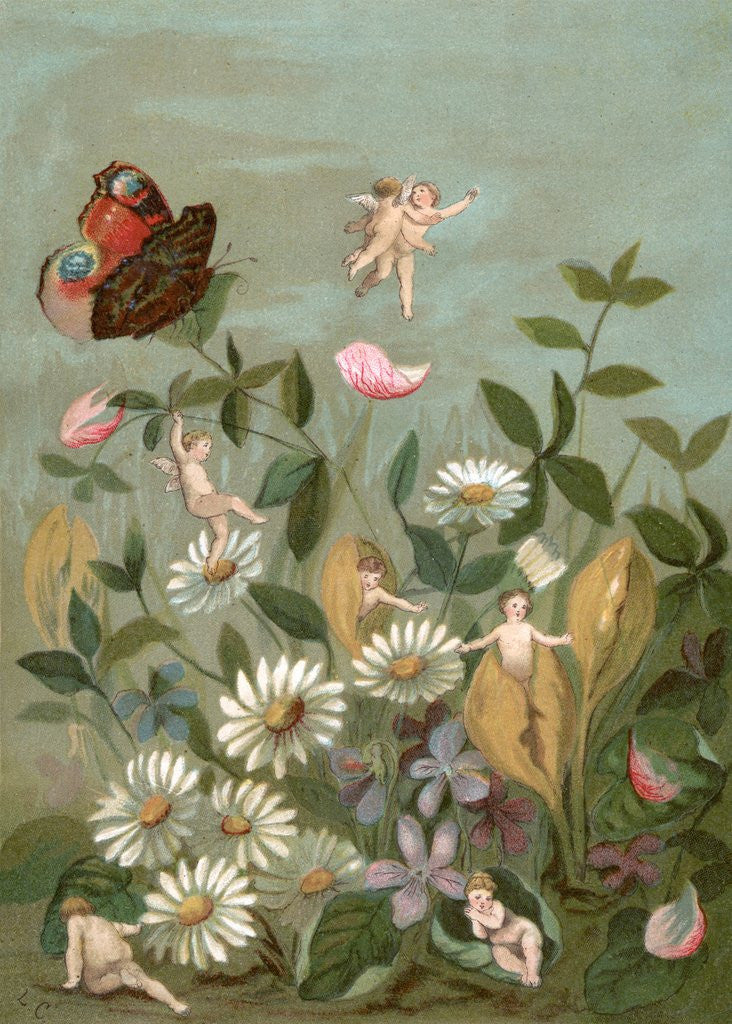 Detail of Fairies frollicking among daisies and a butterfly by Anonymous