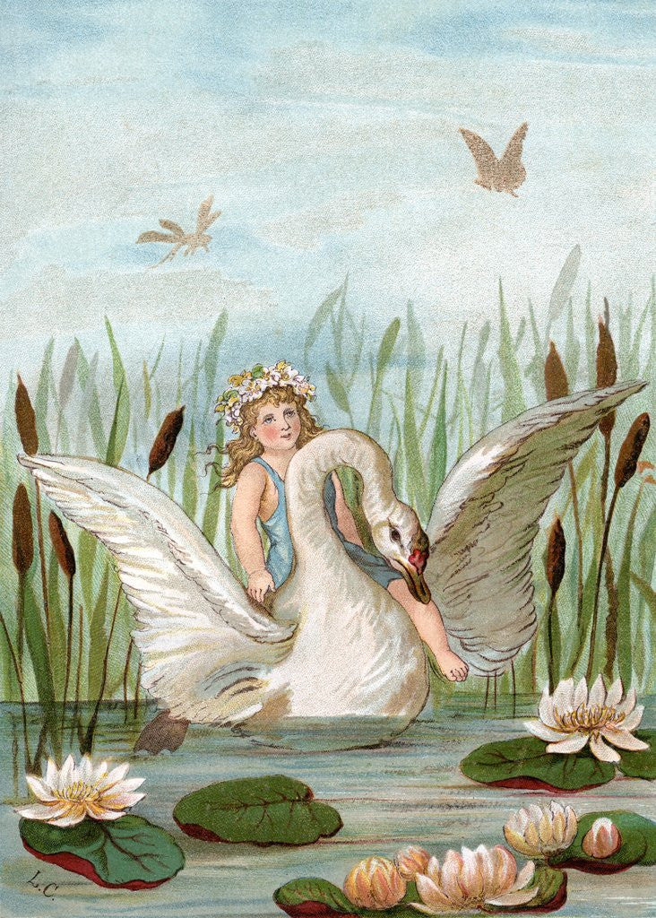 Detail of Fairy riding a white swan in a marsh by Corbis