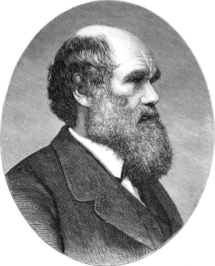 Detail of Portrait of Charles Darwin from The Origin of Species by Anonymous
