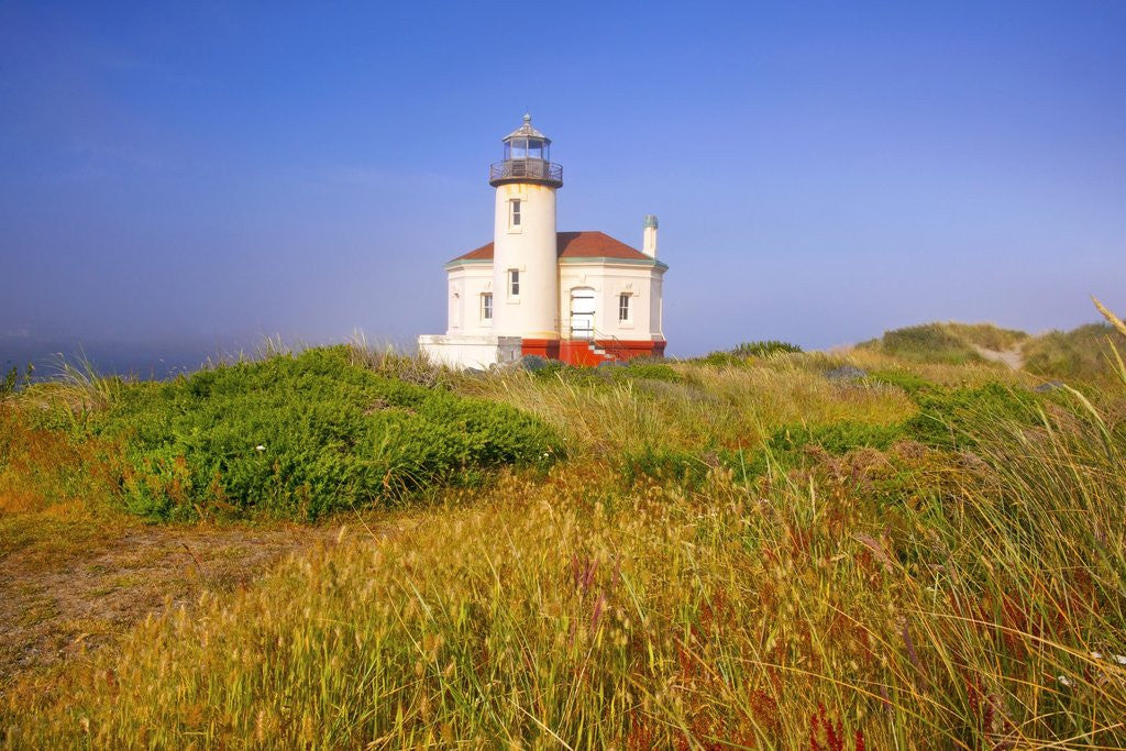 Detail of Morning light adds beauty to fog and Coquille River Lighthouse, Bandon, Oregon Coast, Pacific Ocean, by Anonymous