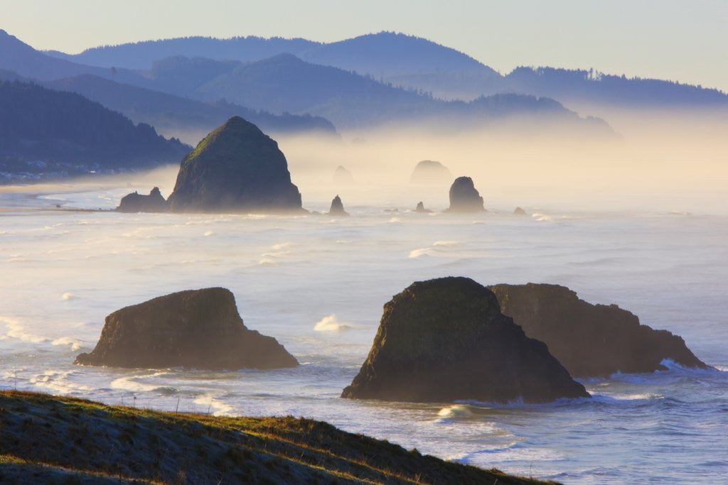 Detail of Haystack Rock from Ecola State Park, Oregon Coast. by Anonymous