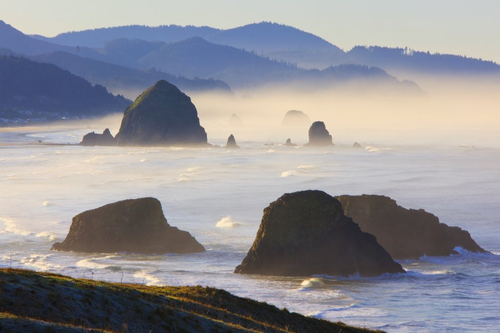 Detail of Haystack Rock from Ecola State Park, Oregon Coast. by Corbis