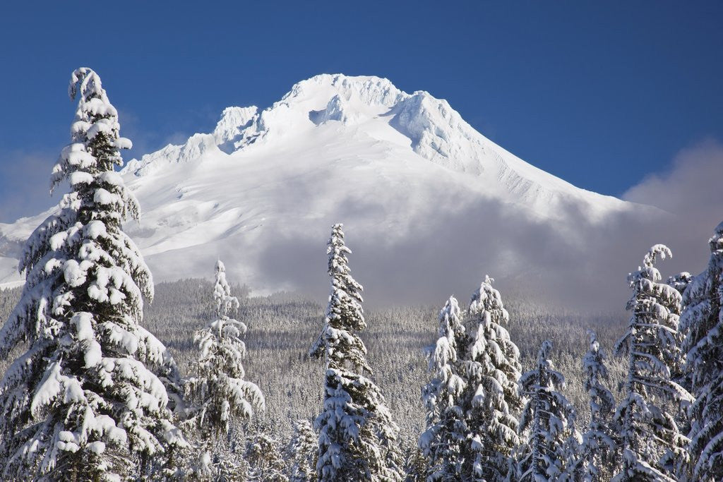 Detail of winter snow adds beauty to Mt. Hood, Oregon. Oregon Cascades. by Anonymous
