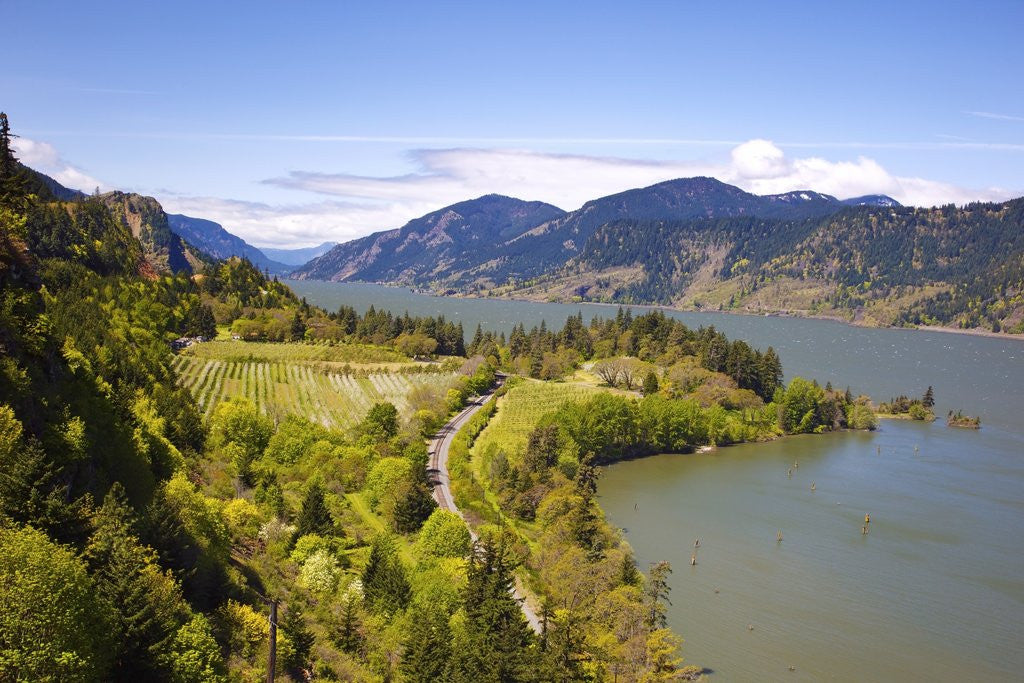 Detail of view point looking west down Columbia River Gorge from Ruthton Park. Hood River, Oregon, Columbia Ri by Anonymous