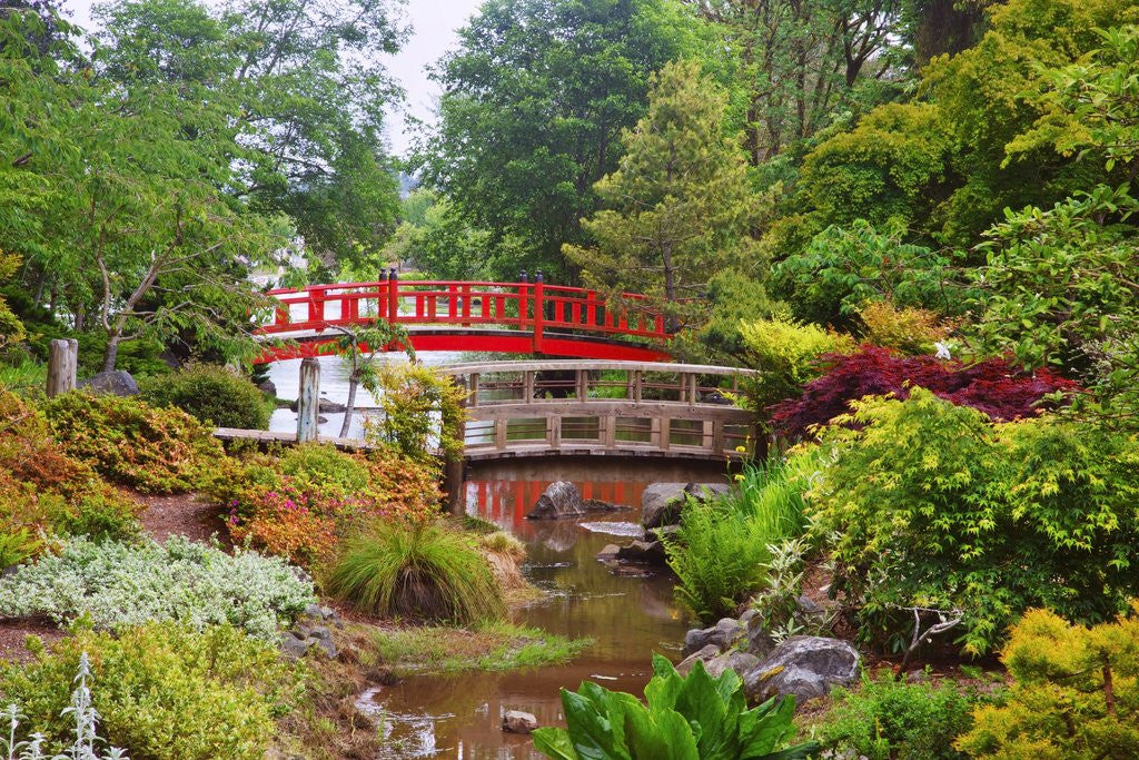 Detail of spring time at Mingus Park, Coos Bay, South Oregon Coast, Pacific Northwest. by Anonymous
