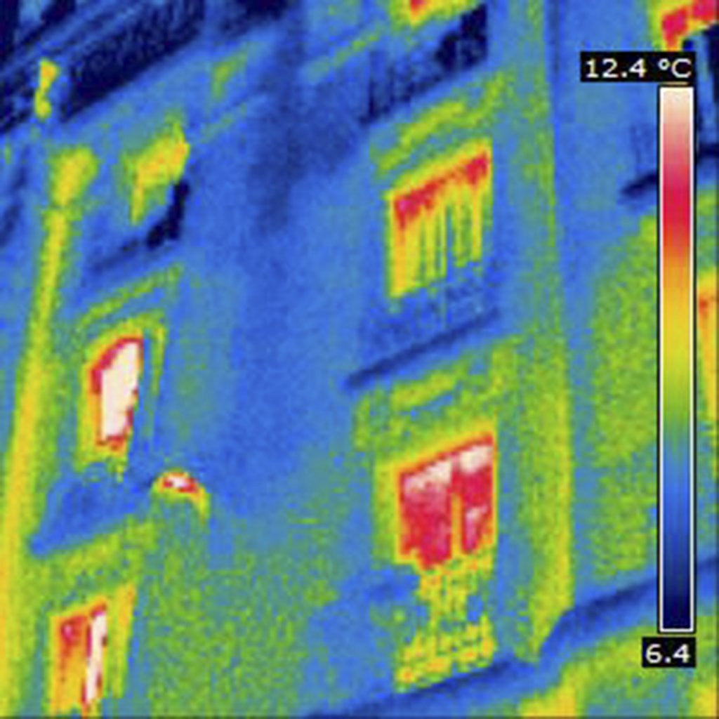 Detail of Thermogram by Anonymous