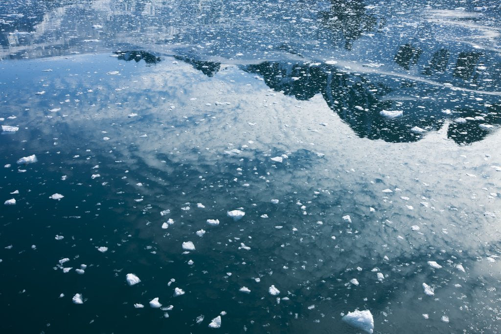 Detail of Arctic Ice, Svalbard by Anonymous