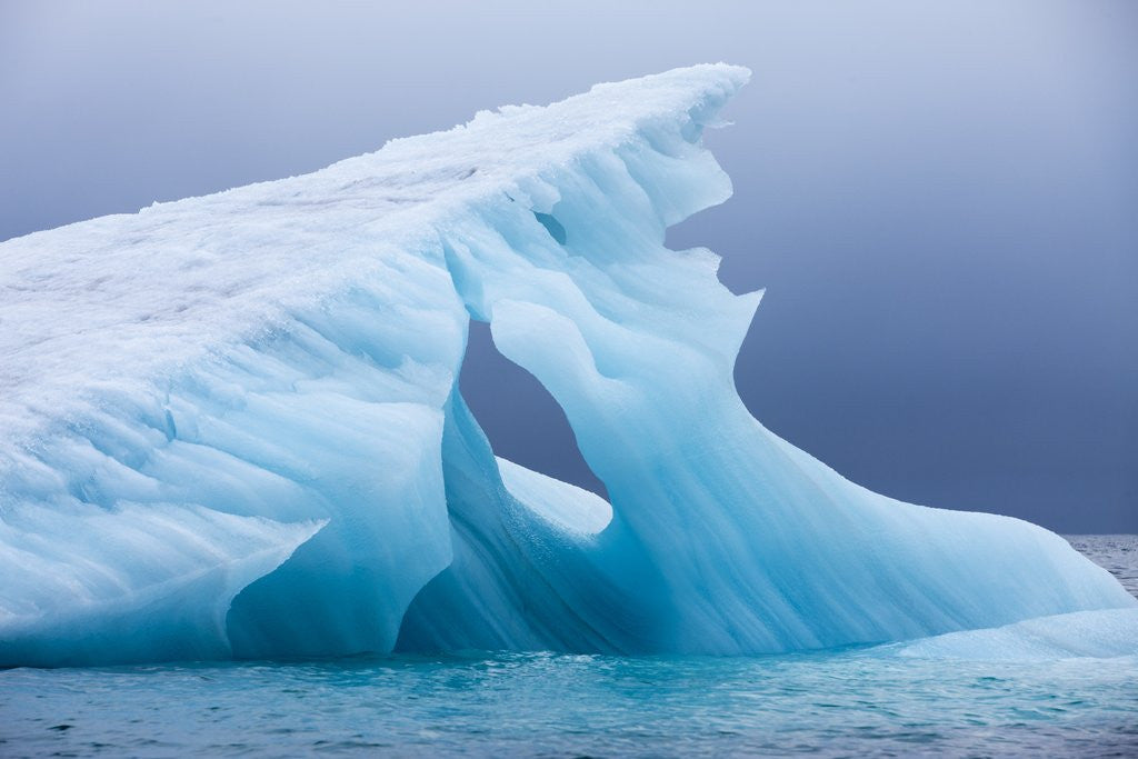 Detail of Arctic Ice, Svalbard by Anonymous