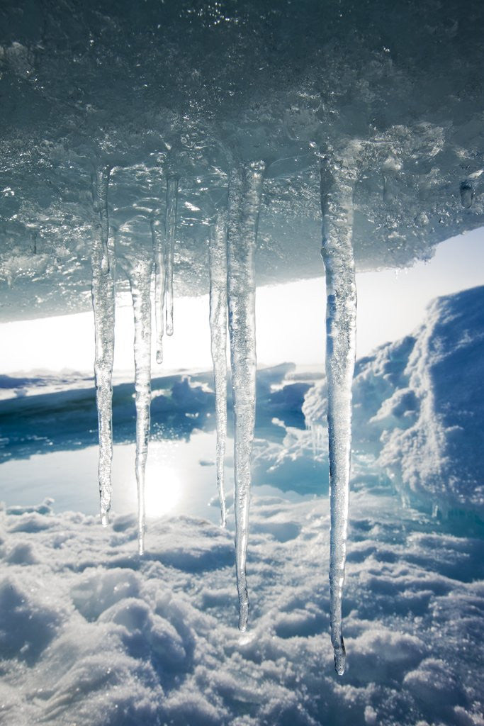 Detail of Arctic Ice, Svalbard by Anonymous