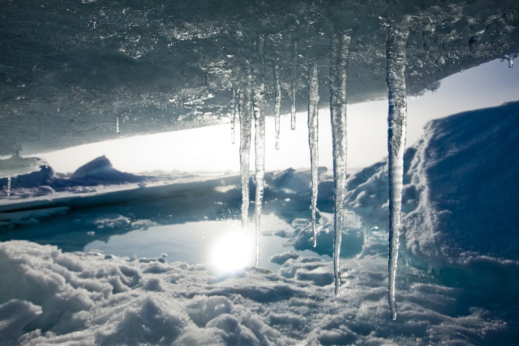 Detail of Arctic Ice, Svalbard by Anonymous