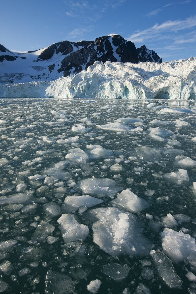 Detail of Calving Arctic Glacier, Svalbard by Anonymous